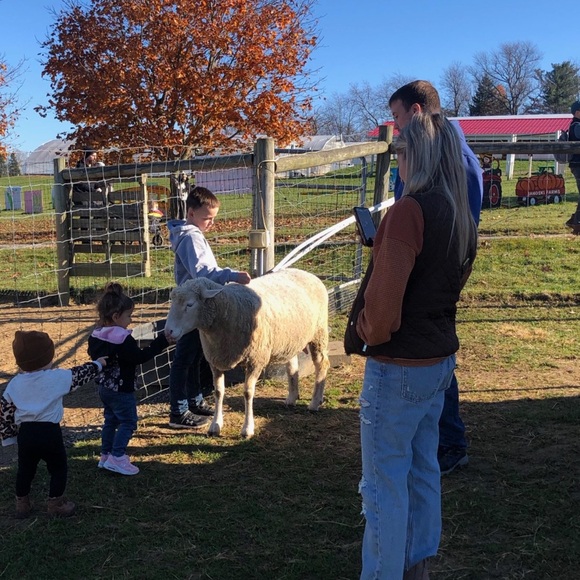 Meet your Posher, Emily - Picture 1 of 1